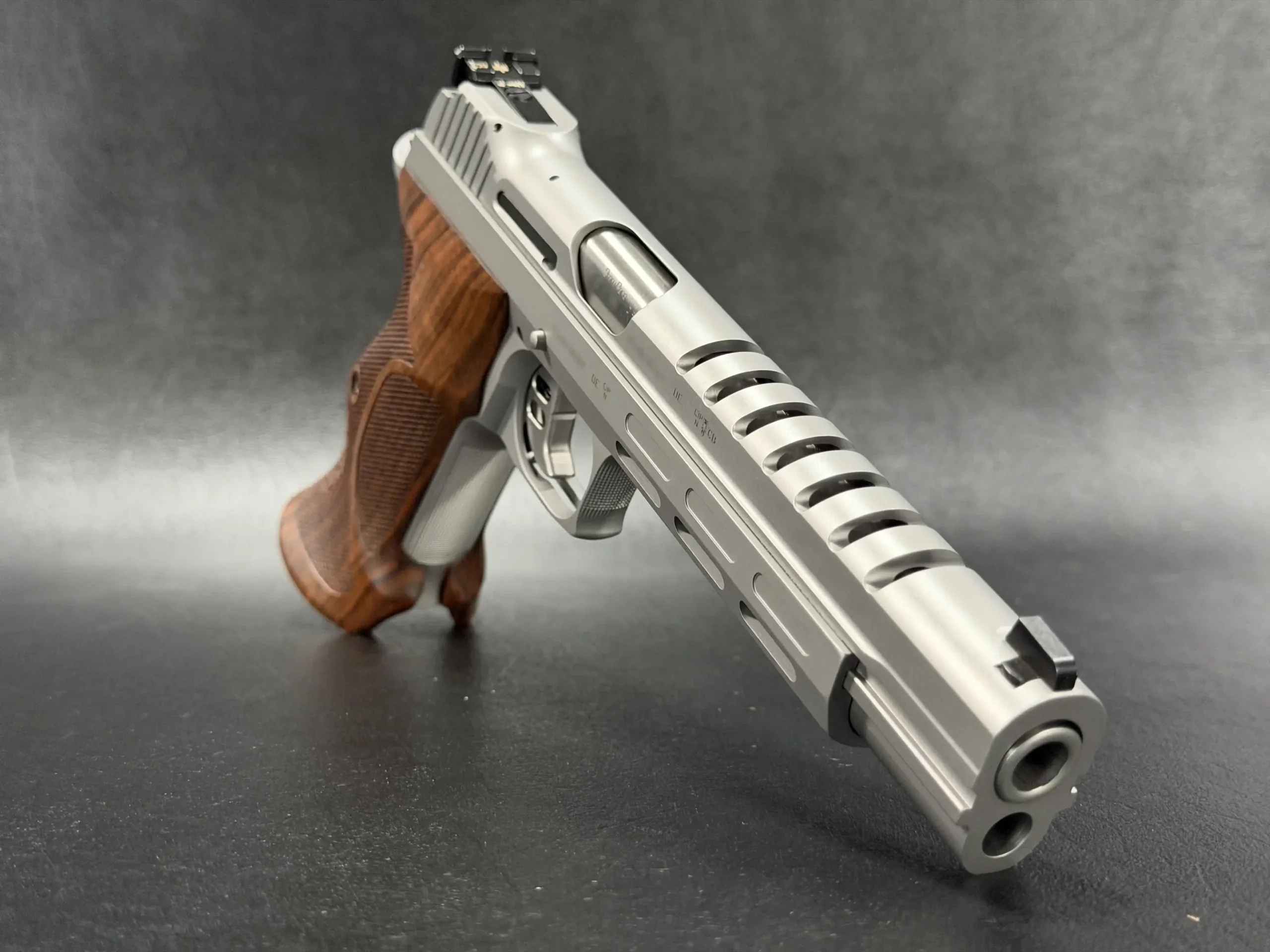 SIG Sauer P210 Skeleton photo 6