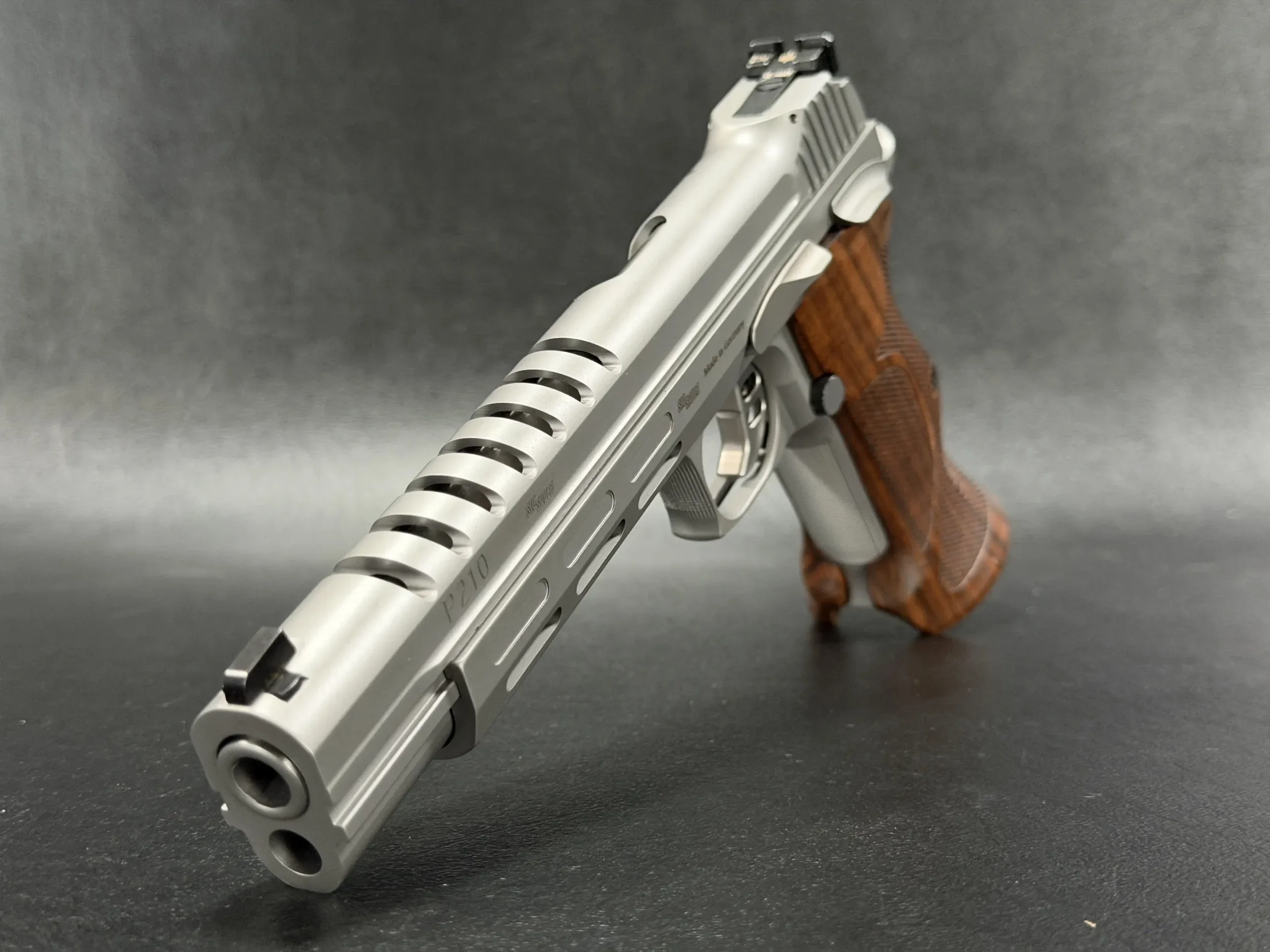 SIG Sauer P210 Skeleton photo 10