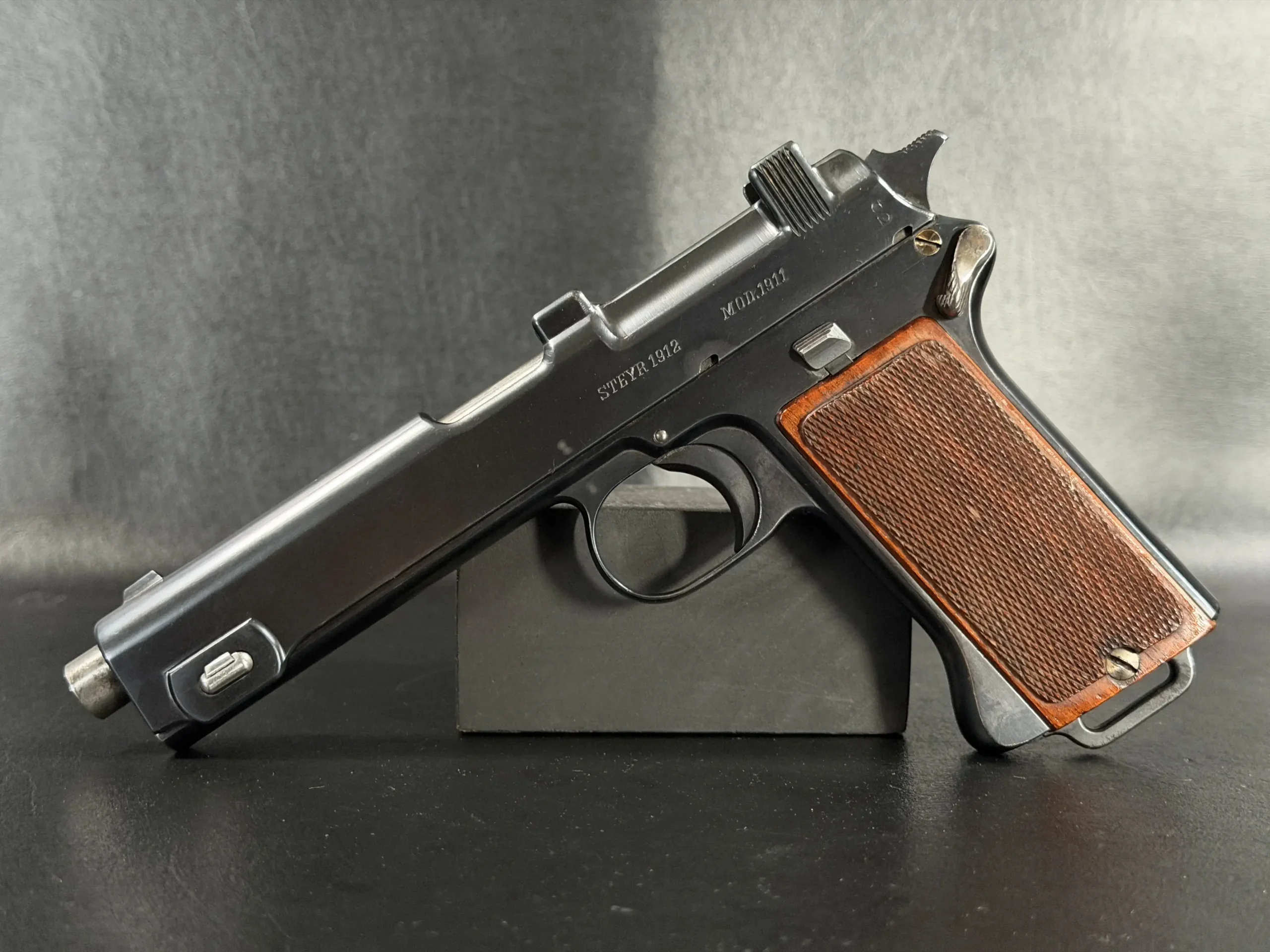 Steyr-Hahn Model 1911 photo 10