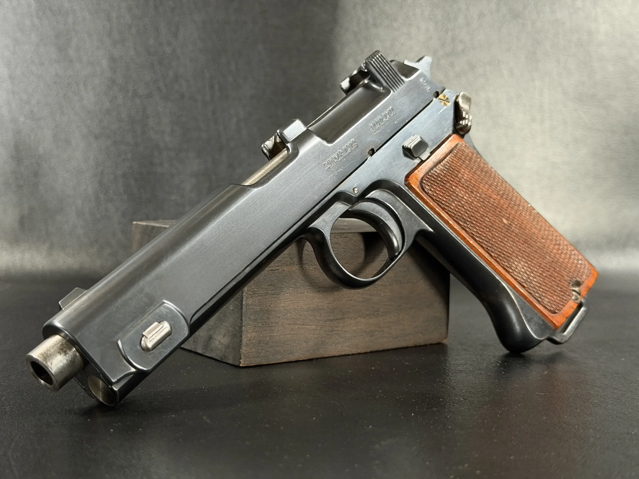 Steyr-Hahn Model 1911 photo 8